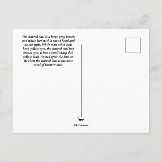 Briefkaart van Barred Owl (Achterkant)
