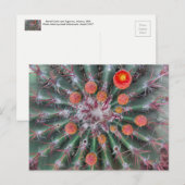 Briefkaart van Barrel Cactus (Arizona) (Voorkant / Achterkant)