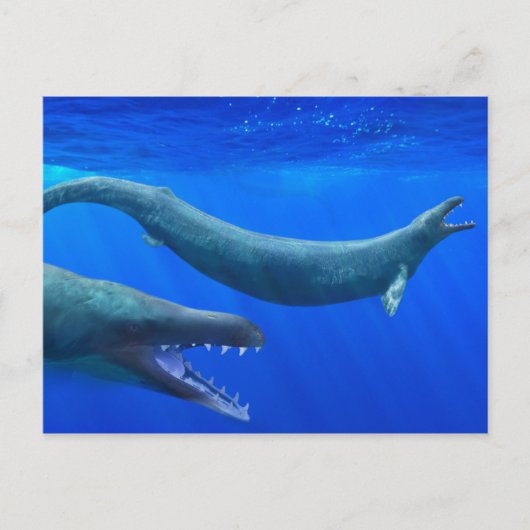 Briefkaart van Basilosaurus (prehistorische walvis (Voorkant)