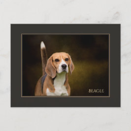 Briefkaart van Beagle