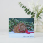 Briefkaart van Beauful Winter Guinea Pig (Staand voorkant)