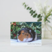 Briefkaart van Beauful Winter Guinea Pig (Staand voorkant)