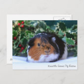 Briefkaart van Beauful Winter Guinea Pig (Voorkant / Achterkant)