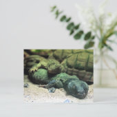 Briefkaart van Bed Buddies (Staand voorkant)