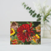 Briefkaart van Bee en Rode Zinnia (Staand voorkant)