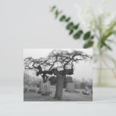 Briefkaart van begraafplaatsen (Staand voorkant)