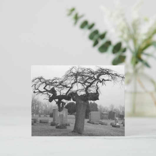 Briefkaart van begraafplaatsen (Staand voorkant)