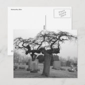 Briefkaart van begraafplaatsen (Voorkant / Achterkant)