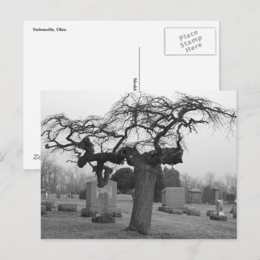 Briefkaart van begraafplaatsen (Voorkant / Achterkant)