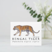 Briefkaart van Bengal Tiger (Staand voorkant)