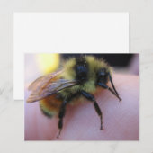Briefkaart van bijen (Voorkant / Achterkant)