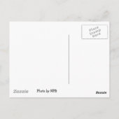 Briefkaart van bijen (Achterkant)