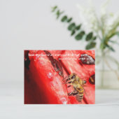 Briefkaart van bijen/bijen op een watermeloen (Staand voorkant)