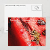 Briefkaart van bijen/bijen op een watermeloen (Voorkant / Achterkant)