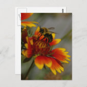 Briefkaart van bijen en ventilatoren (Voorkant / Achterkant)