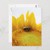 Briefkaart van bijen en zonnebloemen (Voorkant / Achterkant)