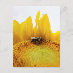 Briefkaart van bijen en zonnebloemen