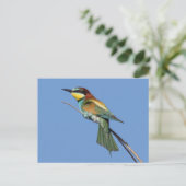 Briefkaart van bijeneter (Staand voorkant)