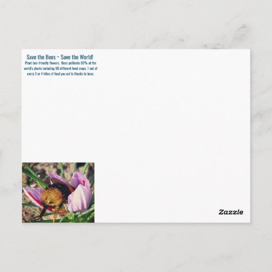 Briefkaart van bijenvriendelijke bloemen (Achterkant)