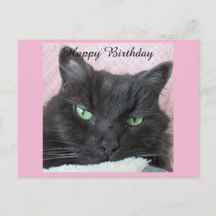 Briefkaart van Black Cat Birthday