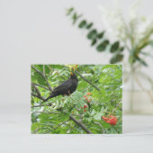 Briefkaart van Blackbird en Berries (Staand voorkant)