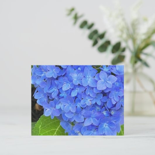 Briefkaart van blauwe hydrangea (Staand voorkant)