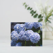 Briefkaart van blauwe hydrangea (Staand voorkant)