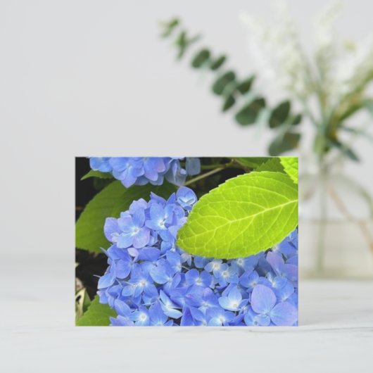 Briefkaart van blauwe hydrangea (Staand voorkant)