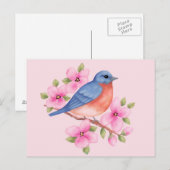 Briefkaart van blauwvogel (Voorkant / Achterkant)