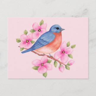 Briefkaart van blauwvogel