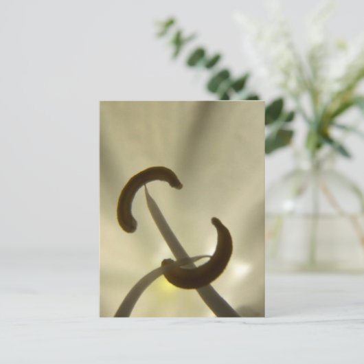 Briefkaart van bloemen (Staand voorkant)