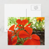 briefkaart van bloementeelt (Voorkant / Achterkant)