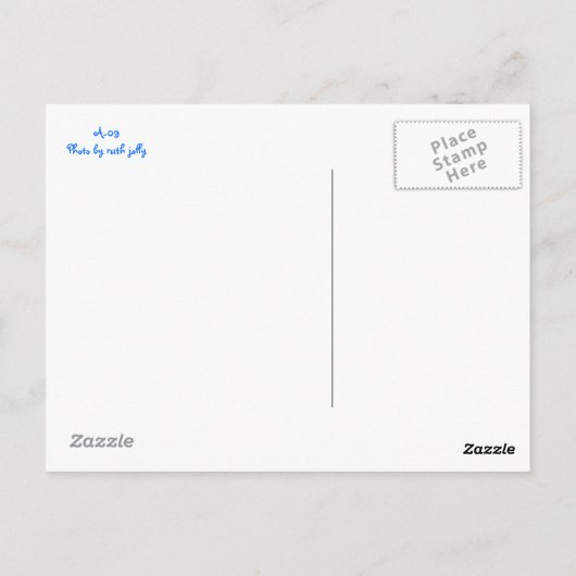 Briefkaart van Blue Paraket (Achterkant)