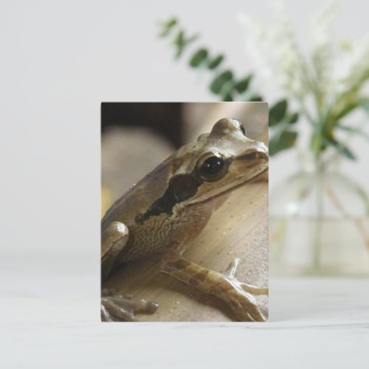 Briefkaart van boomkikker (Staand voorkant)