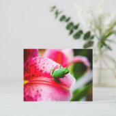 Briefkaart van boomkikker (Staand voorkant)