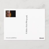 Briefkaart van boomkikker (Achterkant)