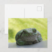 Briefkaart van boomkikker (Voorkant / Achterkant)