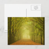 Briefkaart van boslane (Voorkant / Achterkant)