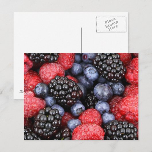 Briefkaart van bosvruchten (Voorkant / Achterkant)