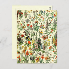  Briefkaart van botanische vlooiers