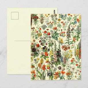Briefkaart van botanische vlooiers
