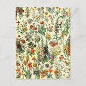  Briefkaart van botanische vlooiers (Voorkant)