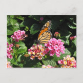 Briefkaart van boterbloemen (Voorkant)