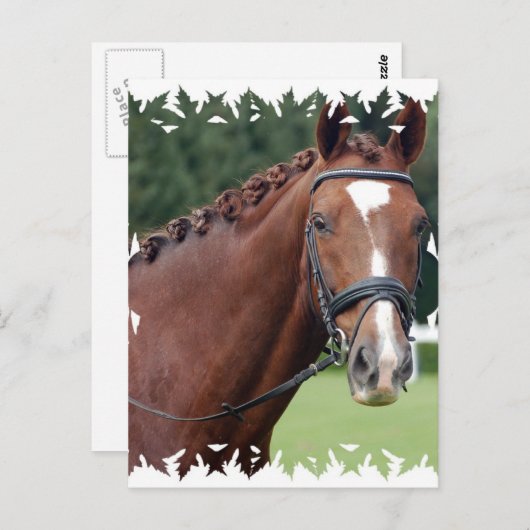 Briefkaart van Braided Horse Mane (Voorkant / Achterkant)