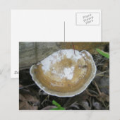 Briefkaart van Brown Tan Bracket Fungus (Voorkant / Achterkant)