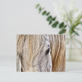 briefkaart van bruin paard (Staand voorkant)