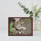 Briefkaart van bruine Bunch-paddenstoelen (Staand voorkant)