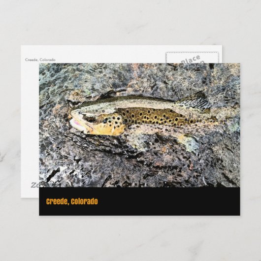 Briefkaart van bruine forel (Voorkant / Achterkant)