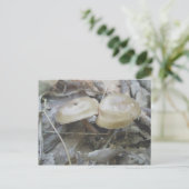 Briefkaart van bruine paddenstoelen (Staand voorkant)