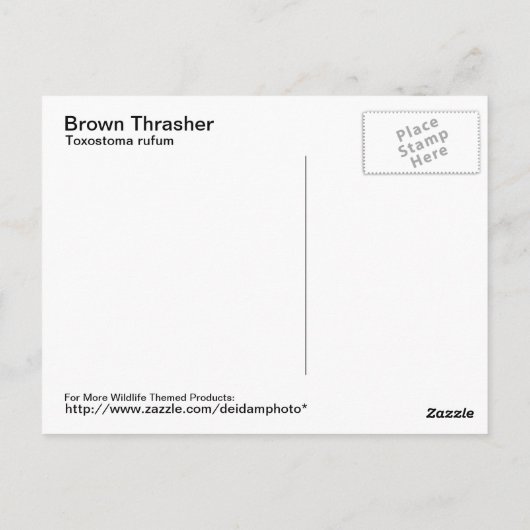 Briefkaart van bruine Thrasher (Achterkant)